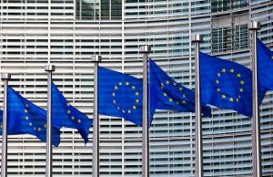 European Flags In A Row programma Erasmus