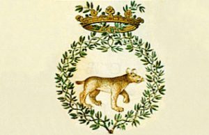 Lince