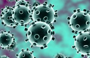 Coronavirus 3272934.660x368