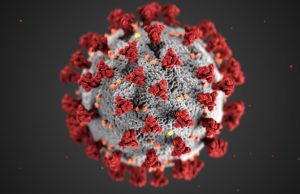 Coronavirus