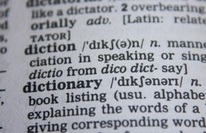Dictionary educazione civica